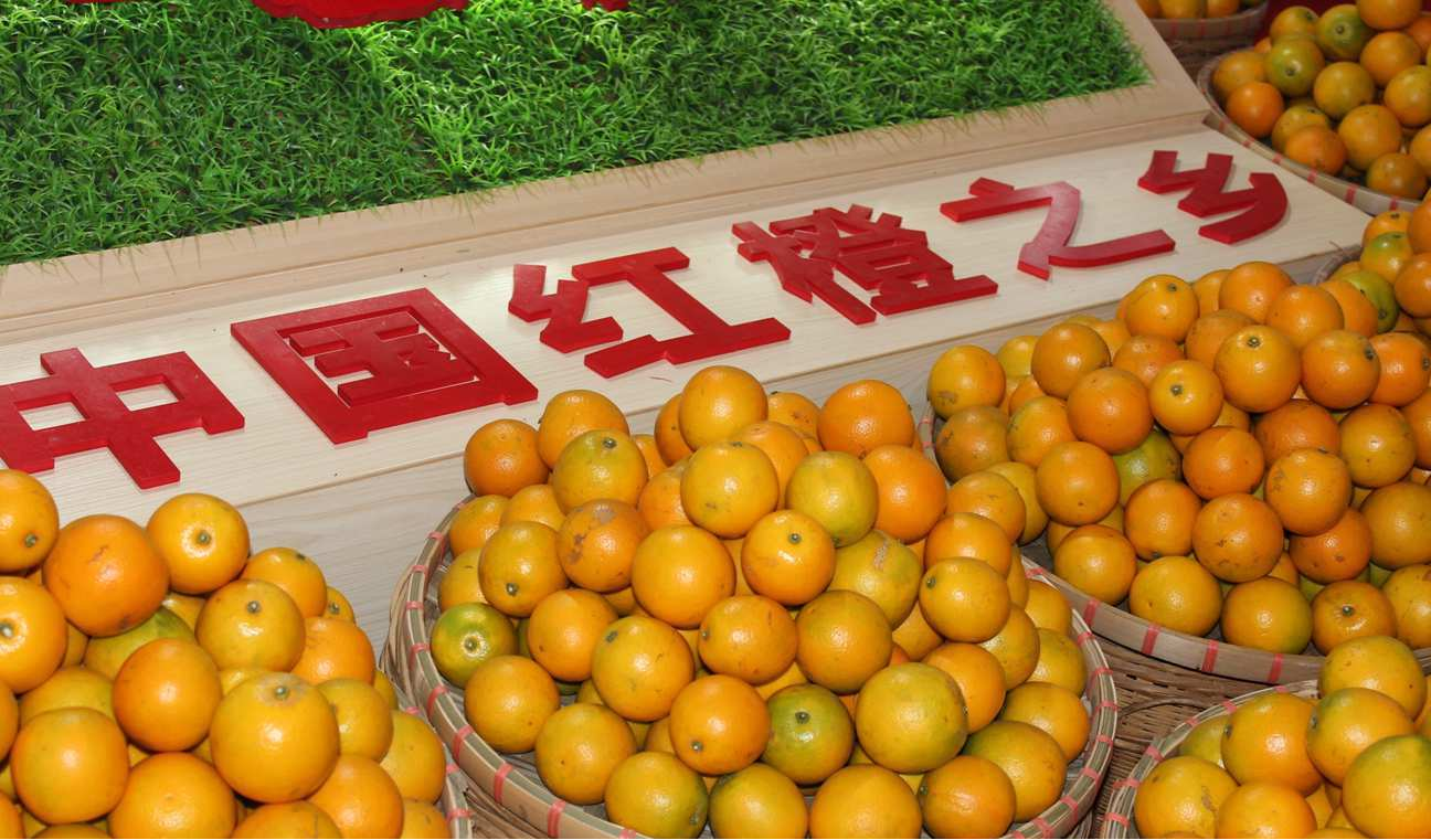 图片5.png