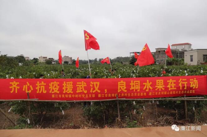 QQ截图20200217161240.jpg