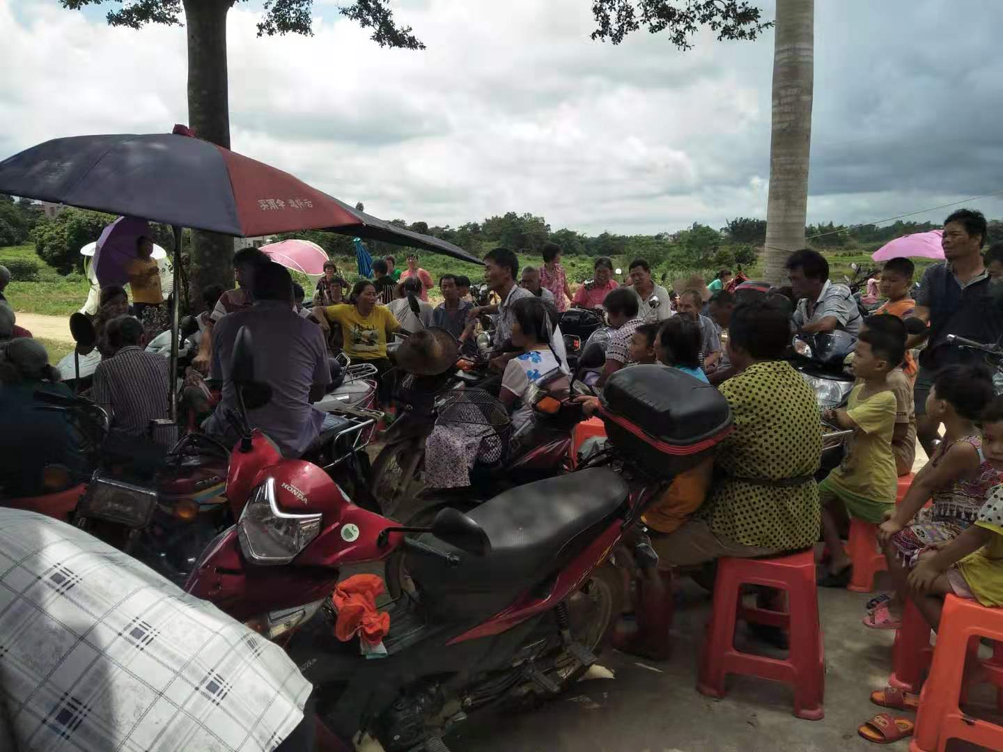 图片:三清一改1