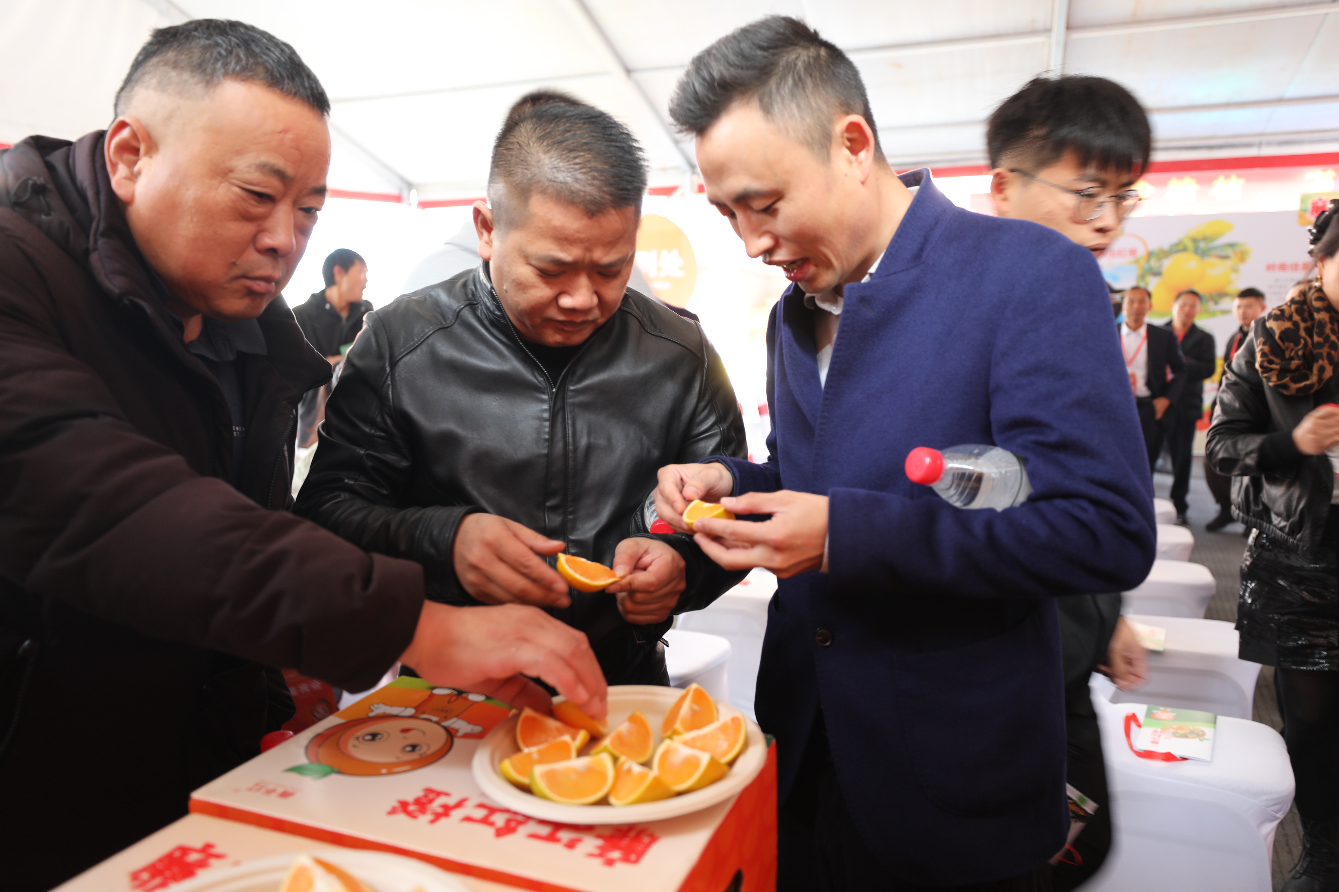 文章配图