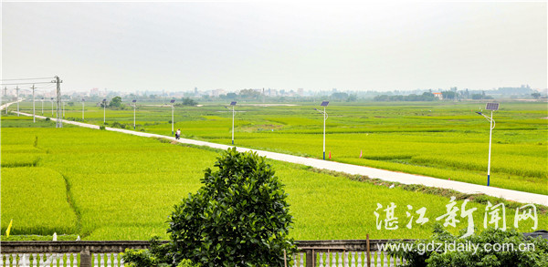 8cec4b826b87204ad9f236.jpg