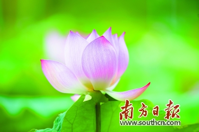 微信图片_20200819152402.jpg