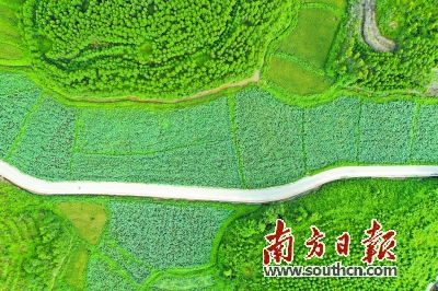 微信图片_20200819152605.jpg