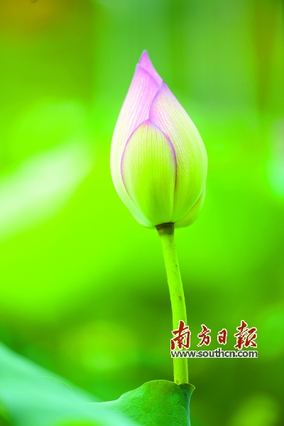 微信图片_20200819152639.jpg