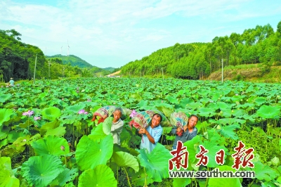 微信图片_20200819152816.jpg