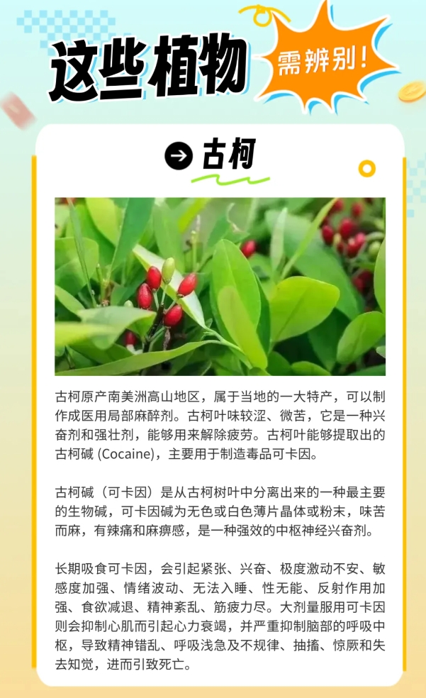 03炎炎夏日生存指南，这些“毒”雷千万别踩.jpg