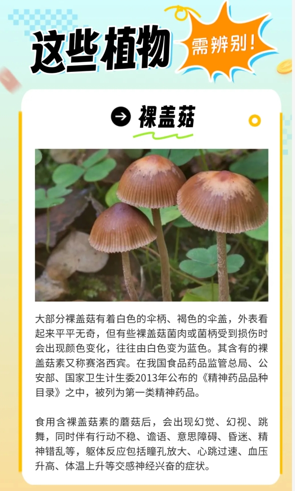 04炎炎夏日生存指南，这些“毒”雷千万别踩.jpg
