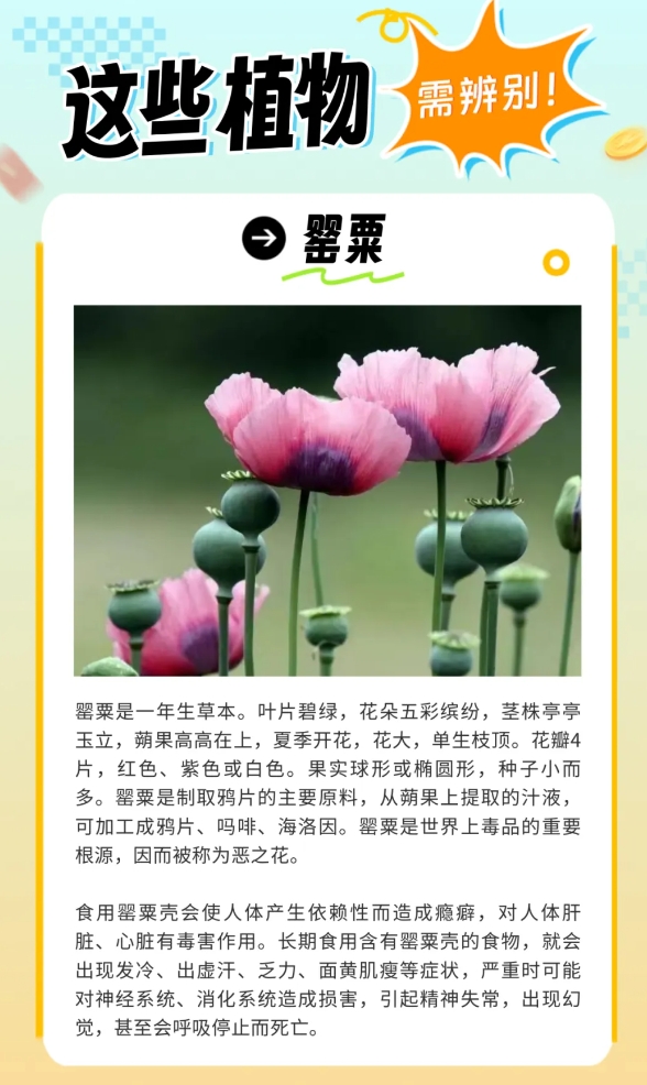 05炎炎夏日生存指南，这些“毒”雷千万别踩.jpg