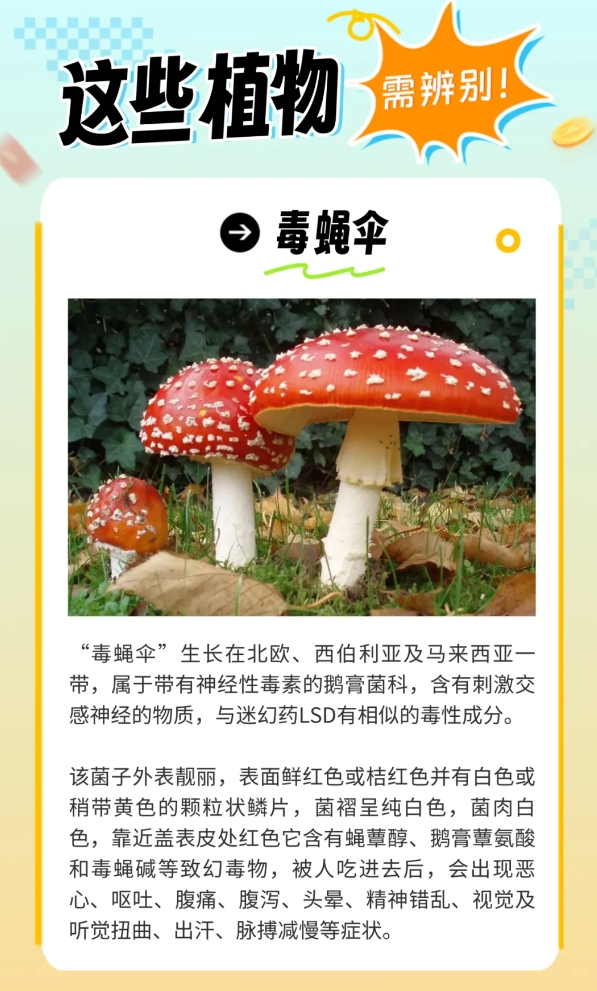 06炎炎夏日生存指南，这些“毒”雷千万别踩.jpg