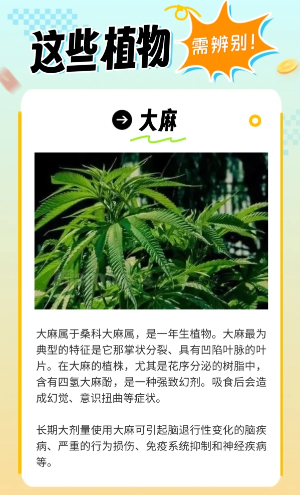 07炎炎夏日生存指南，这些“毒”雷千万别踩.jpg