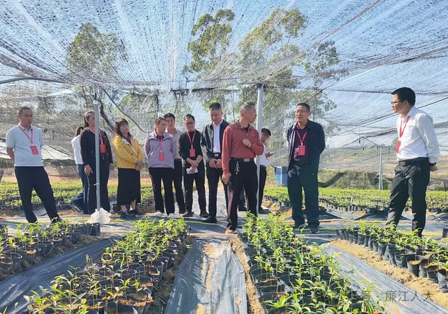 Screenshot 2026-01-06 at 08-45-45 【镇街人大】塘蓬镇人大：人大代表一线问效 现场把脉“百千万工程”落地实情.png