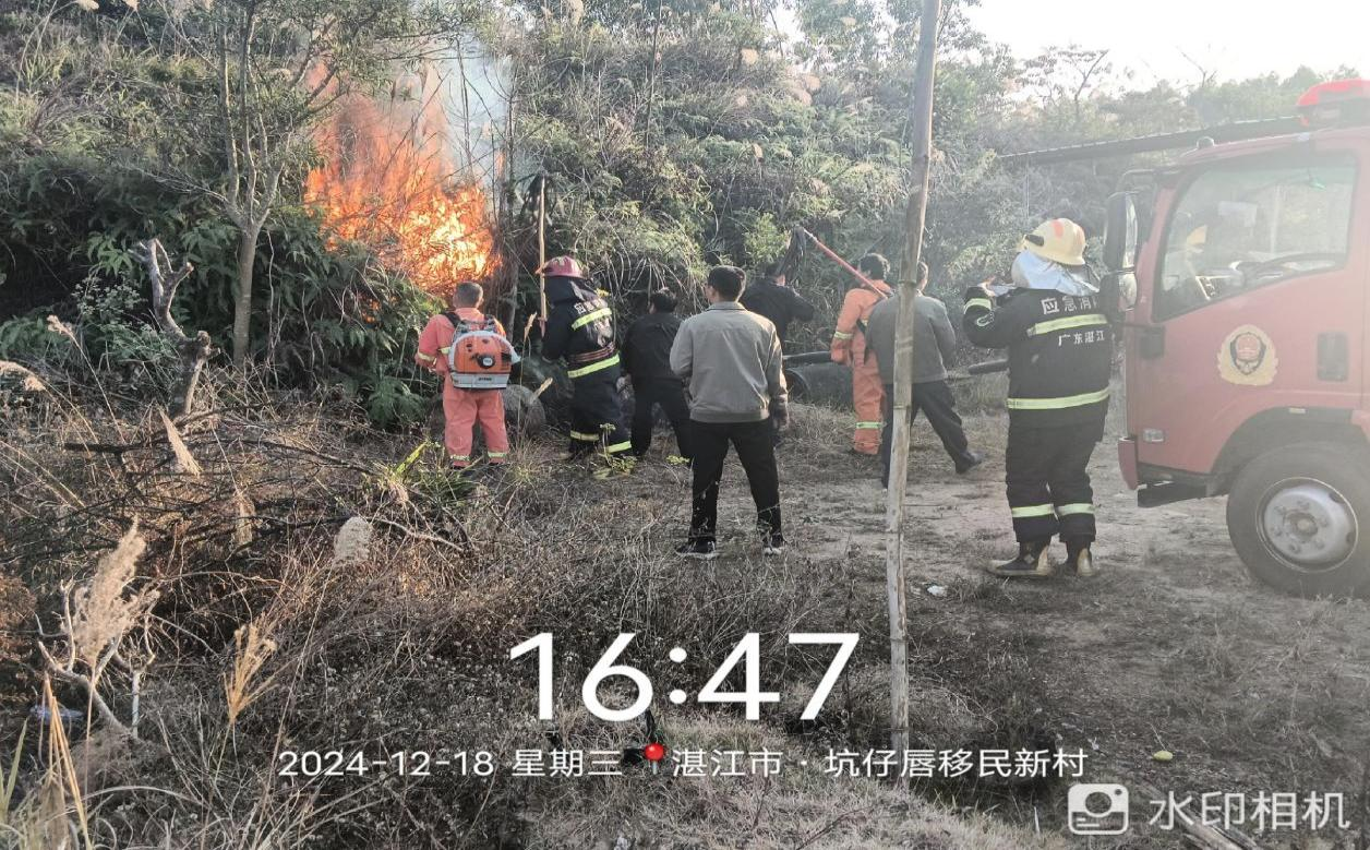 图片1.png